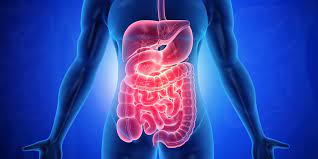 Gastroentrology
